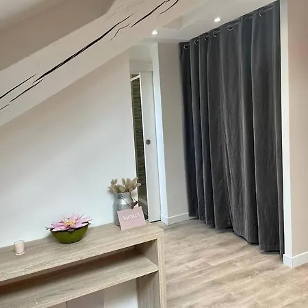 Gabrielle Studio Hypercentre Pres Avenue Champagne Apartment *