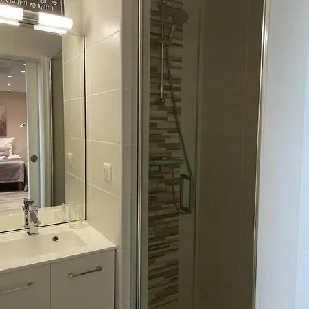 Apartment Gabrielle Studio Hypercentre Pres Avenue Champagne